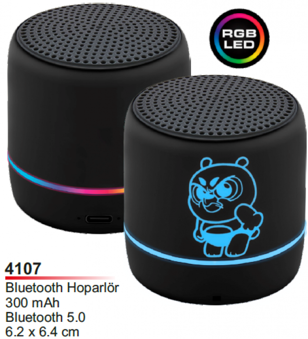 Bluetooth Hoparlör